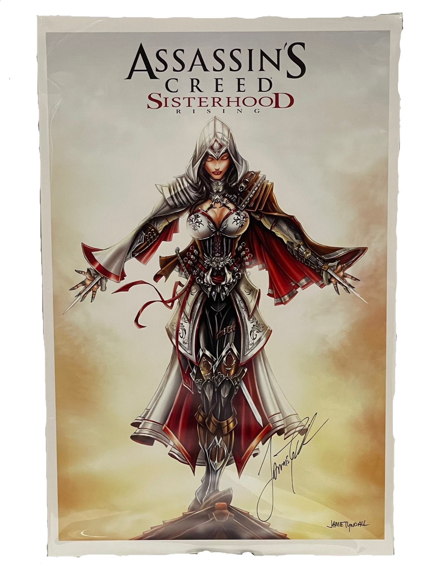 Assassin's Creed Sisterhood Rising Video Game Art Print 11 x 17 Signed Jamie Tyndall W/ COA