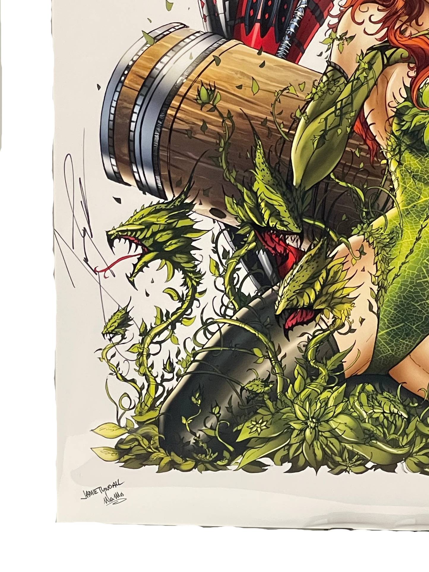 Gotham's Sirens DC Universe Art Print 11 x 17 Signed Jamie Tyndall W/ COA
